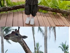 -海南热带野生动植物园