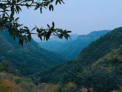 -老象峰