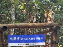 -西双版纳基诺山寨