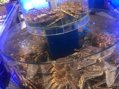 水产区-新海渔港·胶东海鲜家常菜·家宴(奥体中心店)