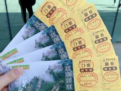 -牛背梁国家森林公园