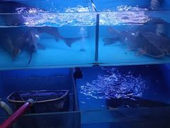 -韩妹鱼庄·泸定老字号(泸定店)