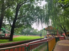 -朝阳公园游乐园