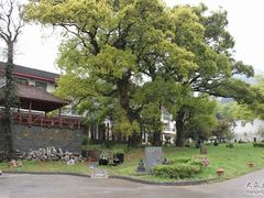 -普陀山雷迪森庄园