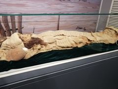 -北京大学赛克勒考古与艺术博物馆