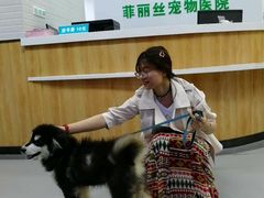 -菲丽丝宠物医院·24小时·猫科中心·免疫点(淮海分院)