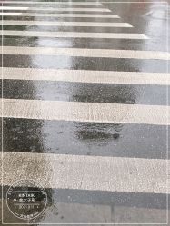 -金太子形象设计