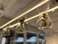 -% Arabica阿拉比卡咖啡(前滩太古里店)