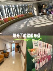 -北京新世纪妇幼医院·产检·分娩·计生(望京院区)