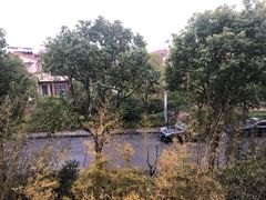 -上海崇明金茂凯悦酒店