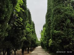 -函谷关历史文化旅游区