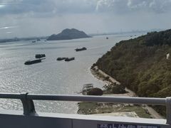 -杨梅坑