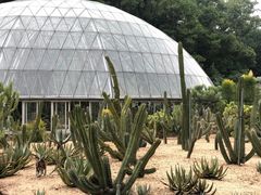 -深圳仙湖植物园