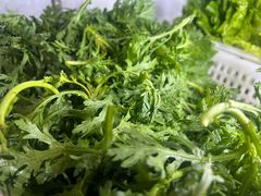 -金鼎雪山牦牛杂火锅(理县总店)