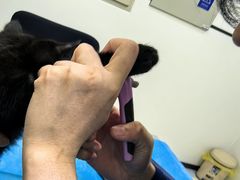 -萌兽医馆·绝育·24小时内科·宠物医院(德胜店)