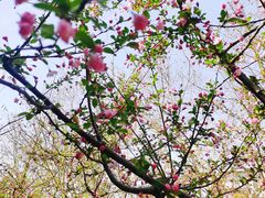 -永乐路-路侧停车场