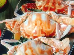 -四川人郑霞海鲜