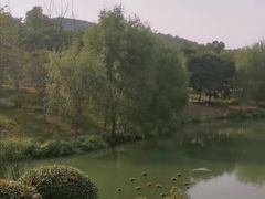 -南山风景名胜区