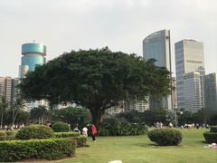 -万绿园