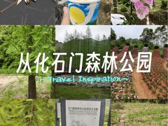 -广州市石门国家森林公园