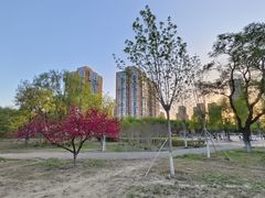 -太阳宫公园