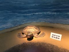 -嘉定博物馆