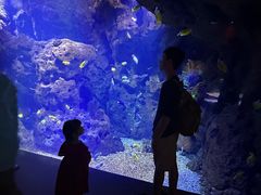 -哈尔滨波塞冬海底世界