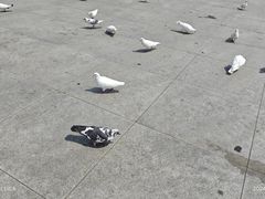 -海河外滩公园