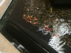 -新疆尊茂银都酒店