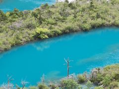 -九寨沟-树正沟