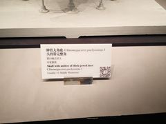 -北京周口店北京人遗址博物馆