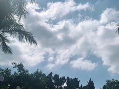-荔枝公园-小平画像广场