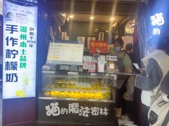 -猫的魔法密林(衣裳街店)