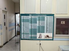 -中农国际动物医院24小时·猫科·骨科·急重症中心