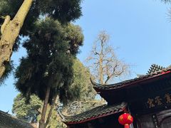 -青城山