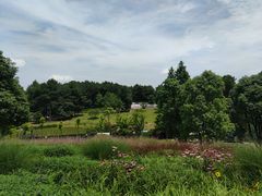 -铁山坪森林公园