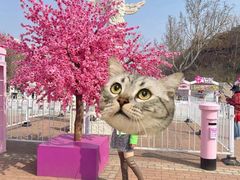 -桃花堤公园