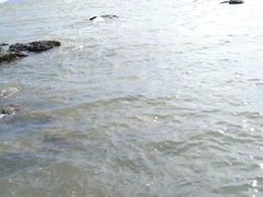 -碧桂园十里银滩