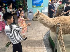 -上海大自然野生昆虫馆(东方明珠·爬宠昆虫探索中心)