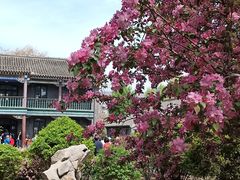 -张学良旧居陈列馆