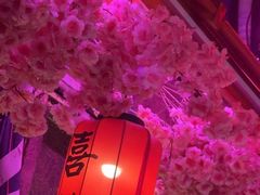 -喜鹊音乐酒馆(西街店)