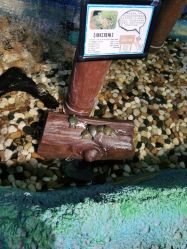 -酷嗒动物文化乐园(cutezoo西溪乐天城店)