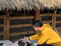 -珠海海泉湾神秘岛亲子乐园