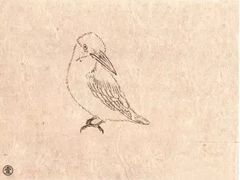 -八哥美术·成人美术画室(总校区)