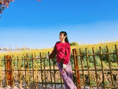 -菊园百果园