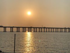 -宝安西湾红树林湿地公园