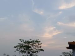 -南宁良凤江国家森林公园