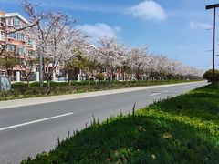 -上海交通大学医学院附属仁济医院(南院)