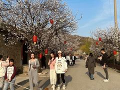 -里口山风景名胜区