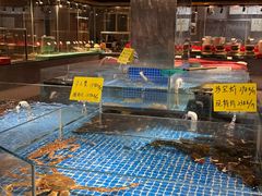 -绿杨春·淮扬宴(庐山路店)